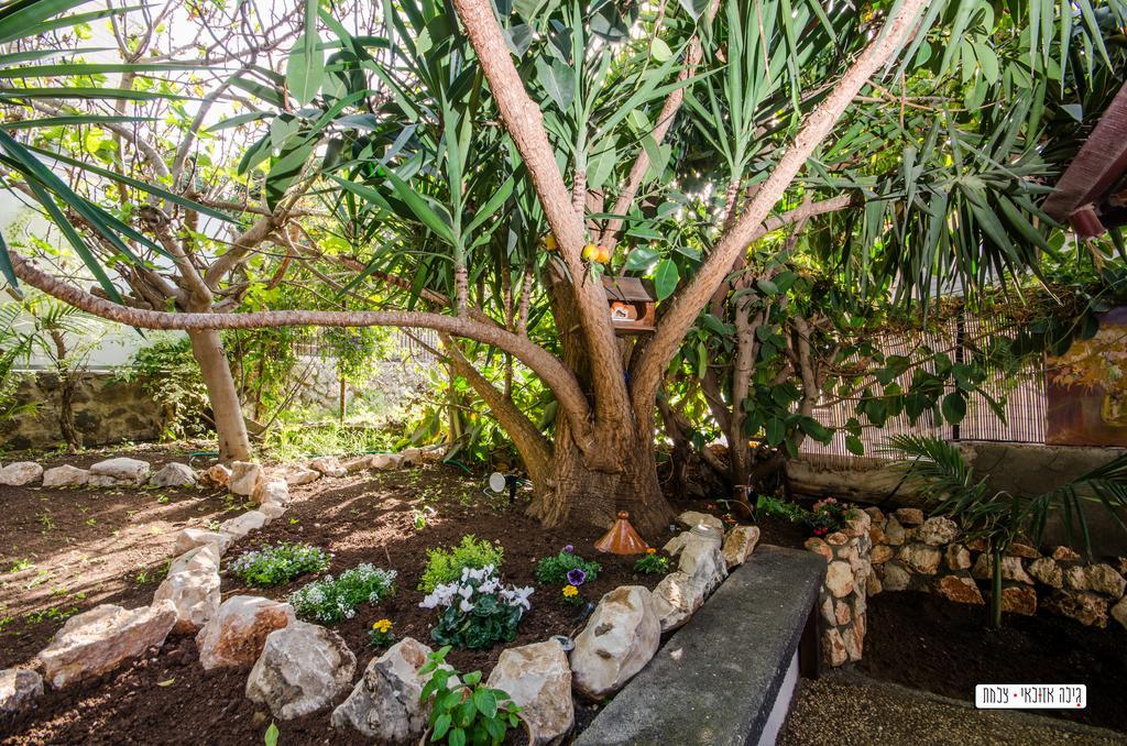 Beautiful Countryside House Villa Tiberias Luaran gambar