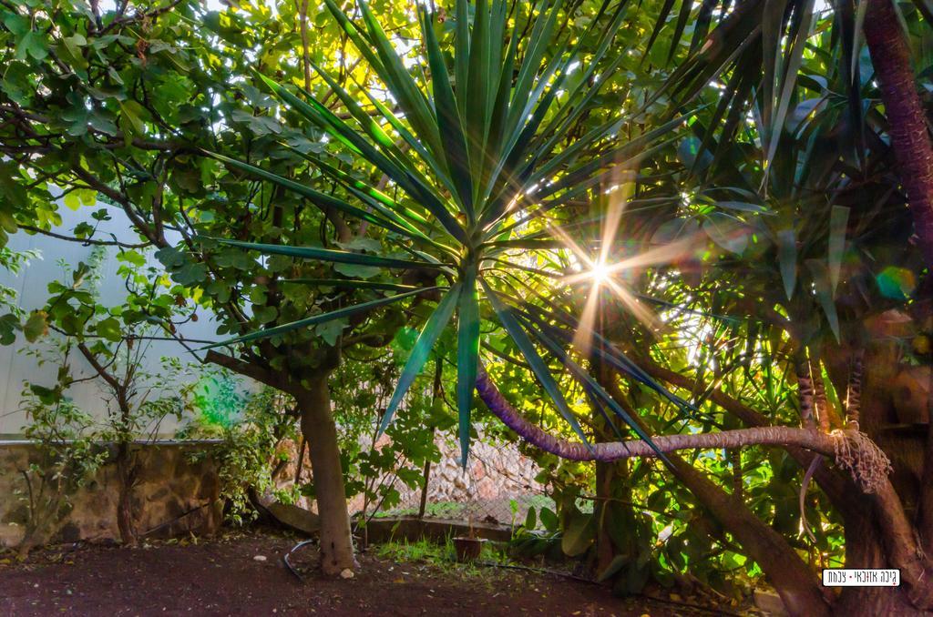 Beautiful Countryside House Villa Tiberias Luaran gambar